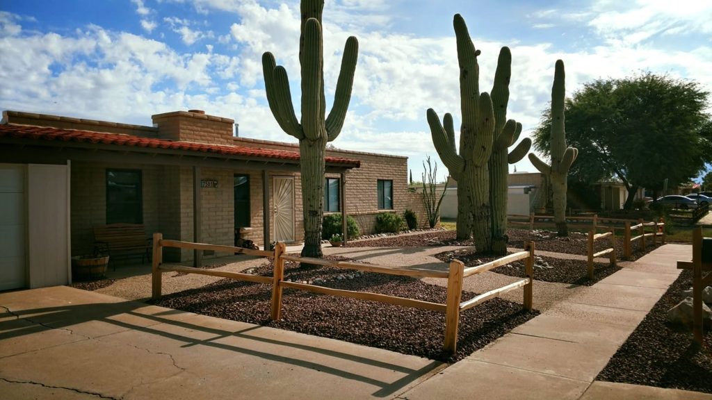 Weed Removal Service Tucson Ideas 2022